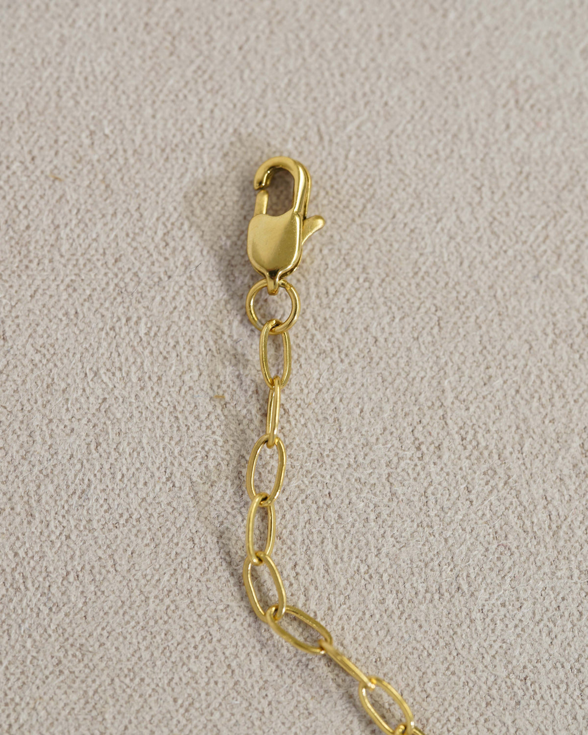 Chain and lobster clasp closure detail