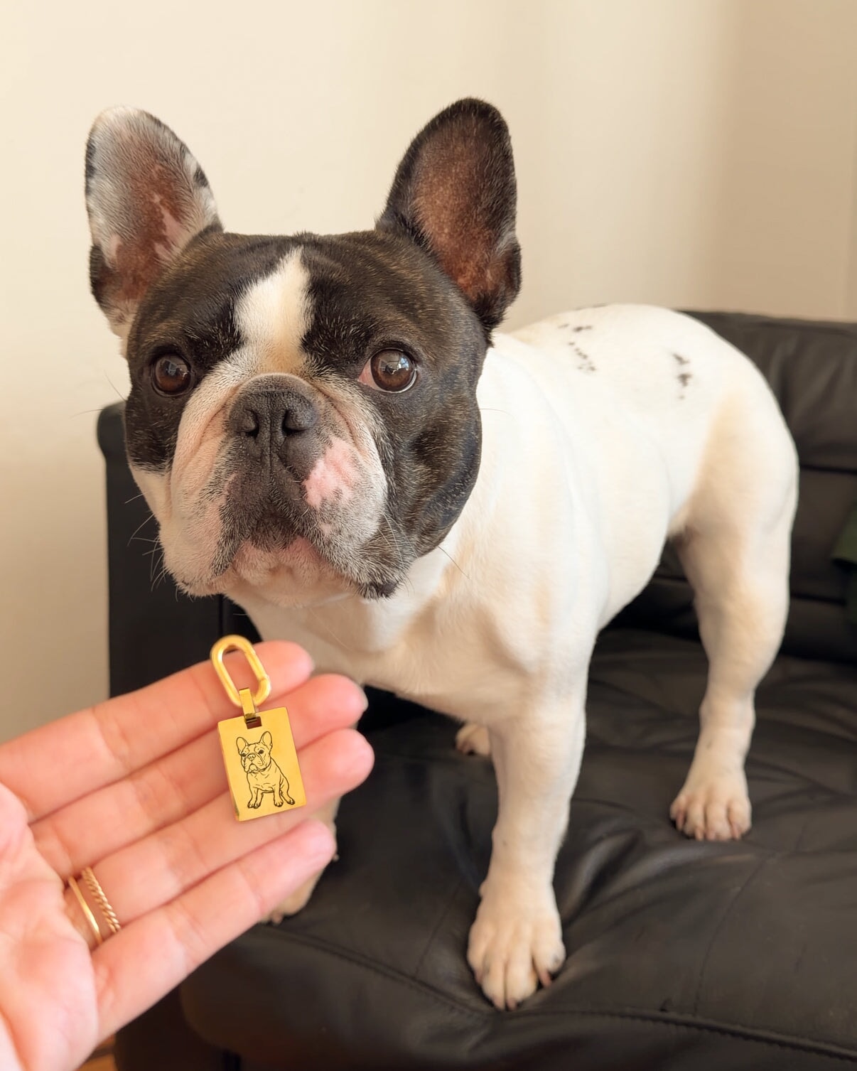 Pet Bag Charm or Keychain Large Rectangle