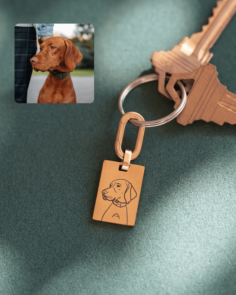 Pet Bag Charm or Keychain Large Rectangle