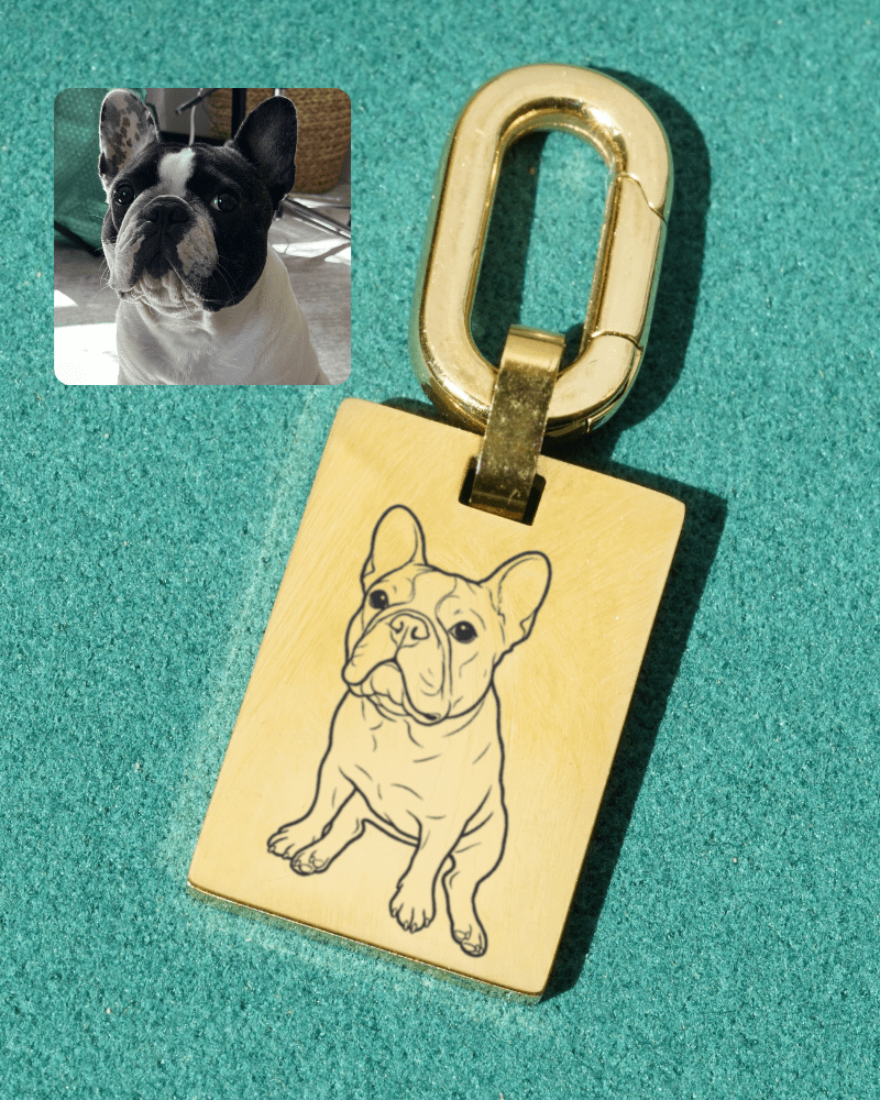 Pet Bag Charm or Keychain Large Rectangle