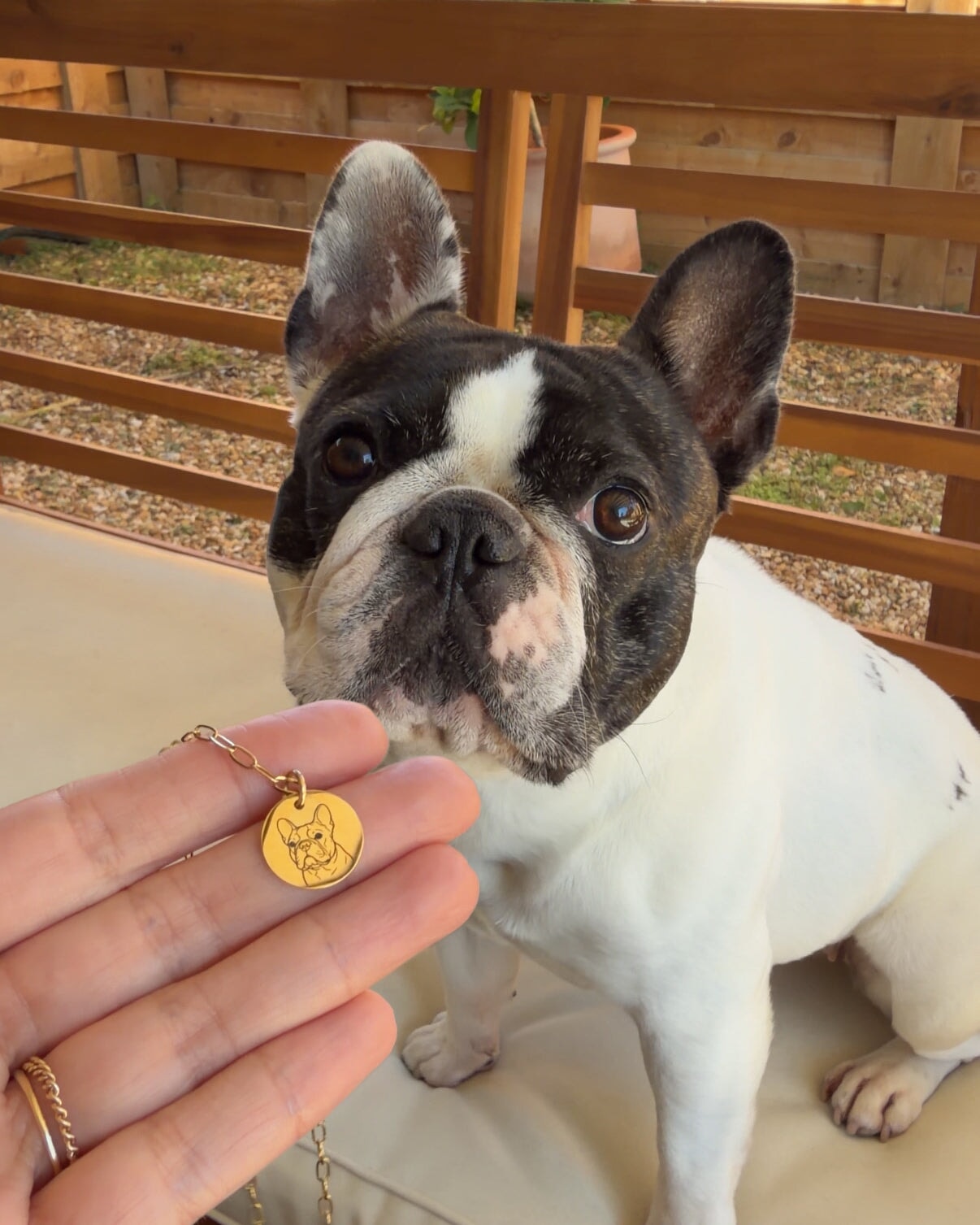 Pet Charm Necklace - Large Medallion