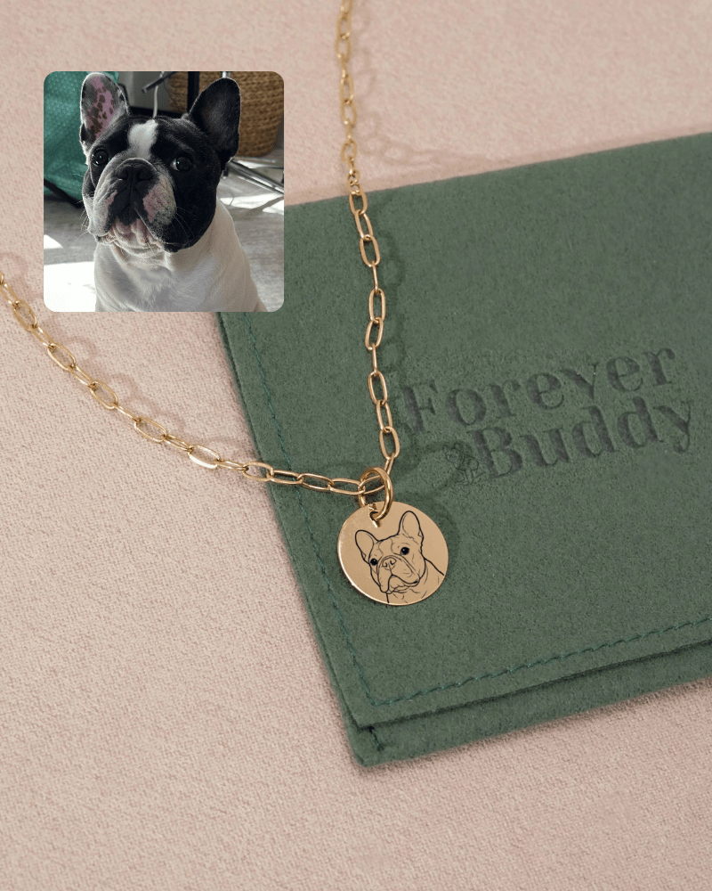 Pet Charm Necklace - Large Medallion
