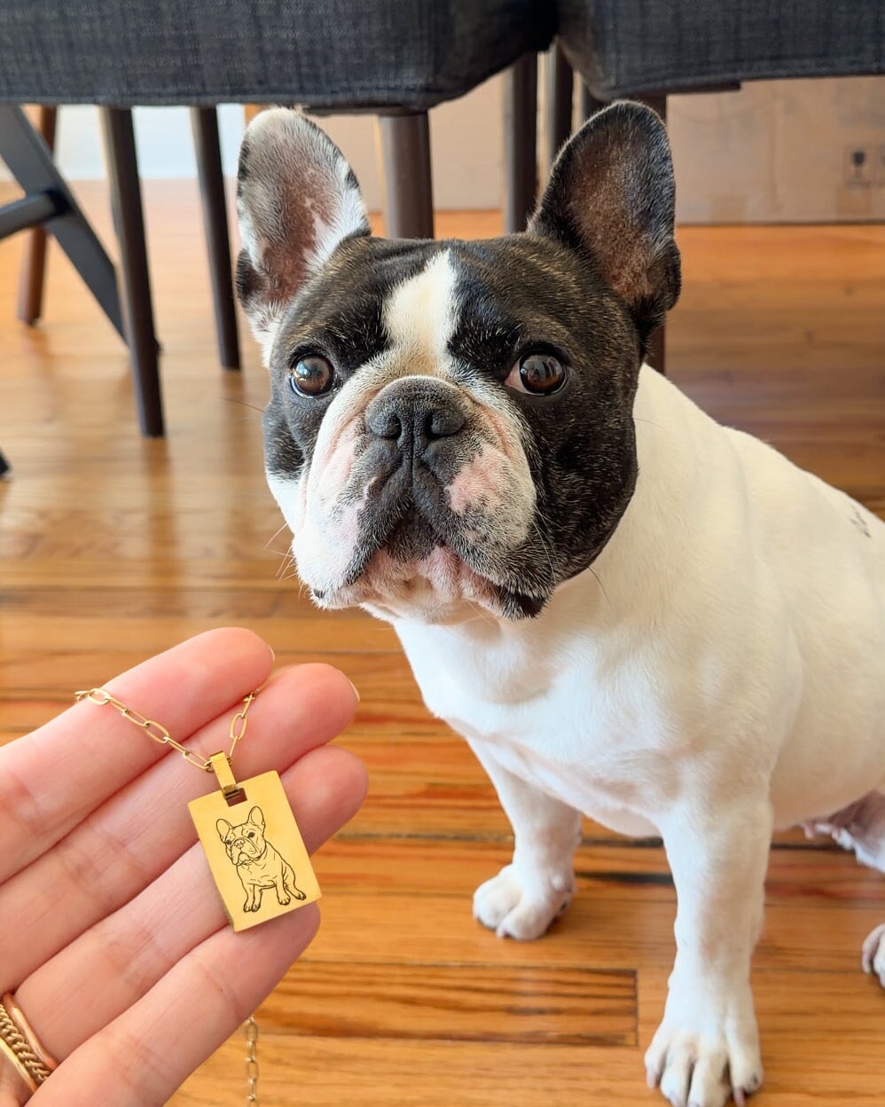Dog looking at a gold pendant with a dog's face on it, held by a person.