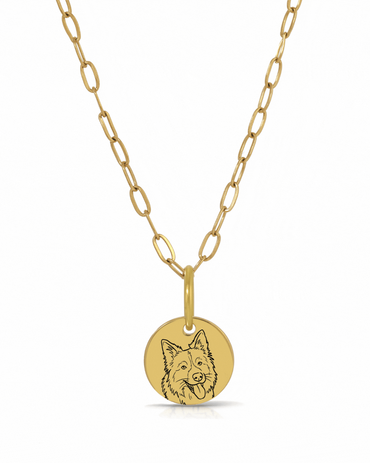 Forever Buddy Pet Charm Necklace - Small Medallion