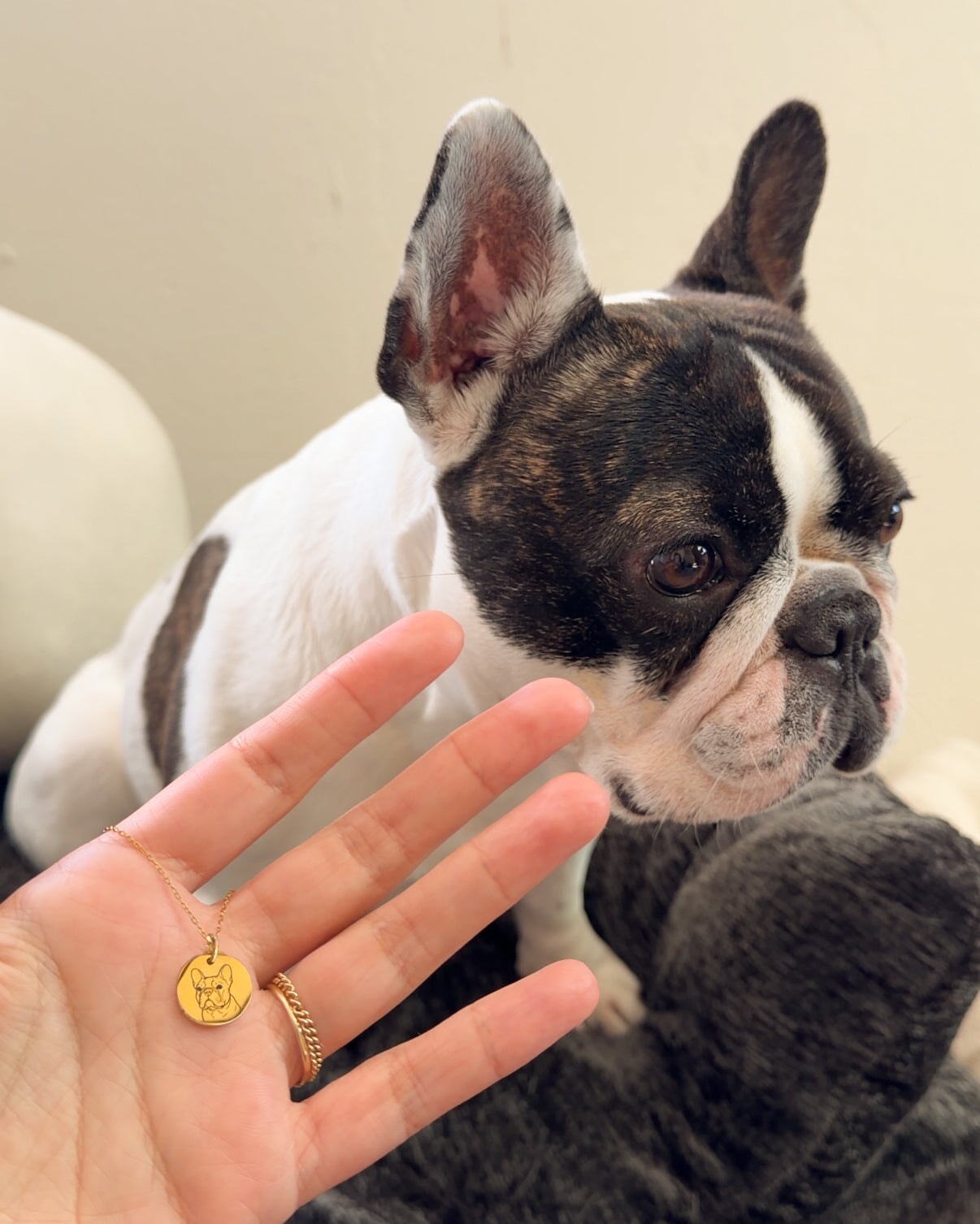 Pet Charm Necklace - Small Medallion