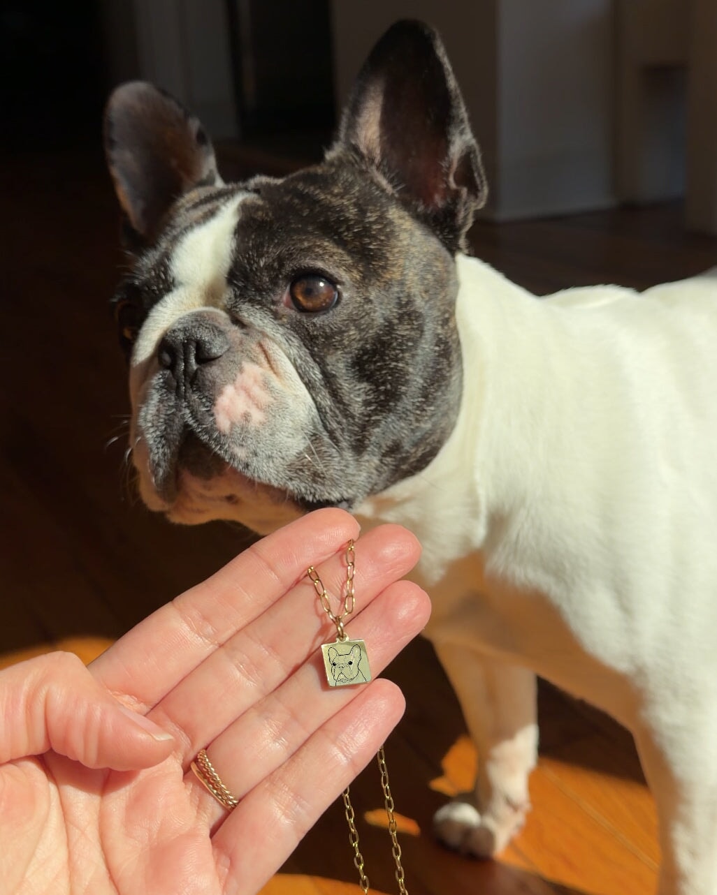 Pet Charm Necklace - Small Square