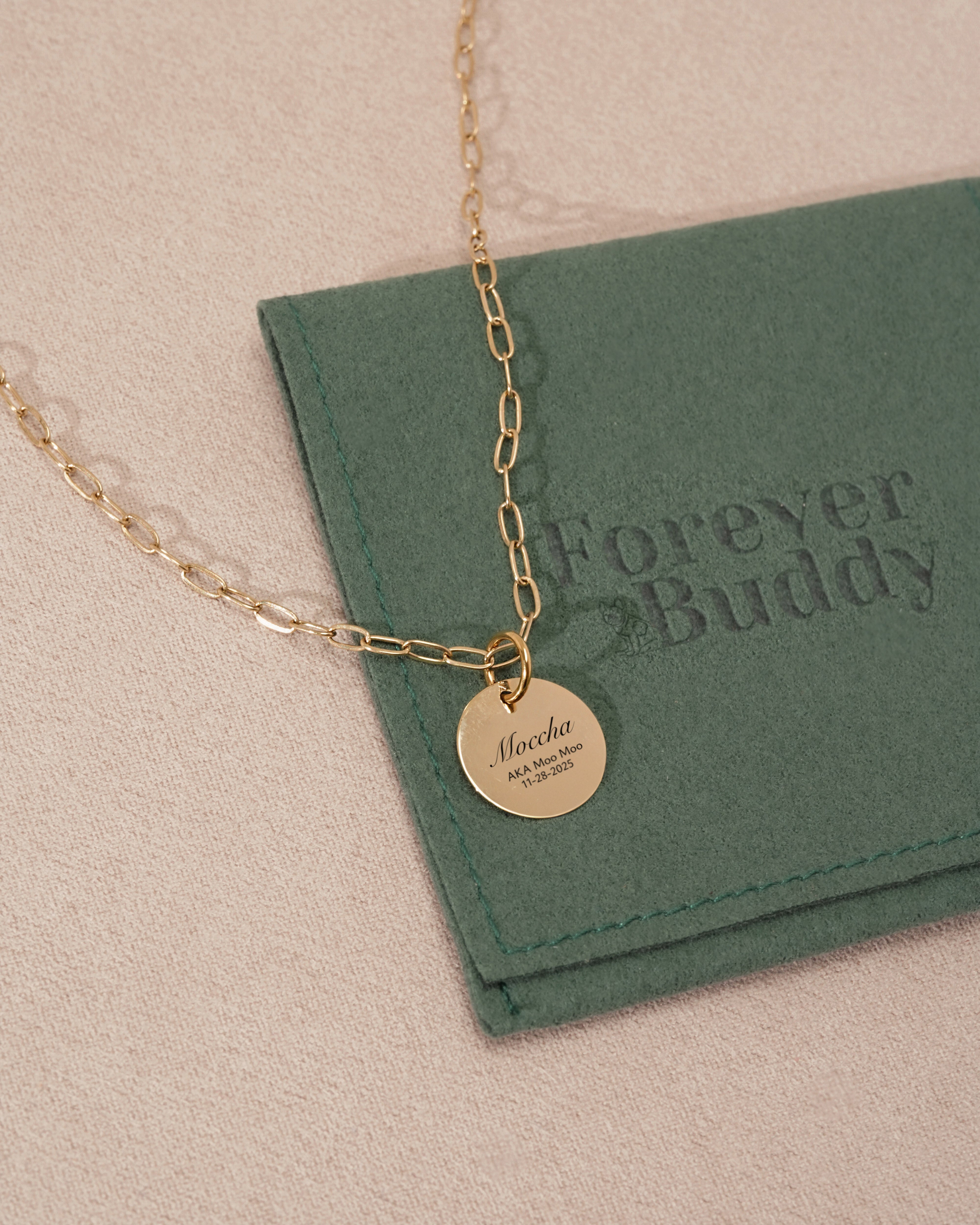 Pet Charm Necklace - Large Medallion