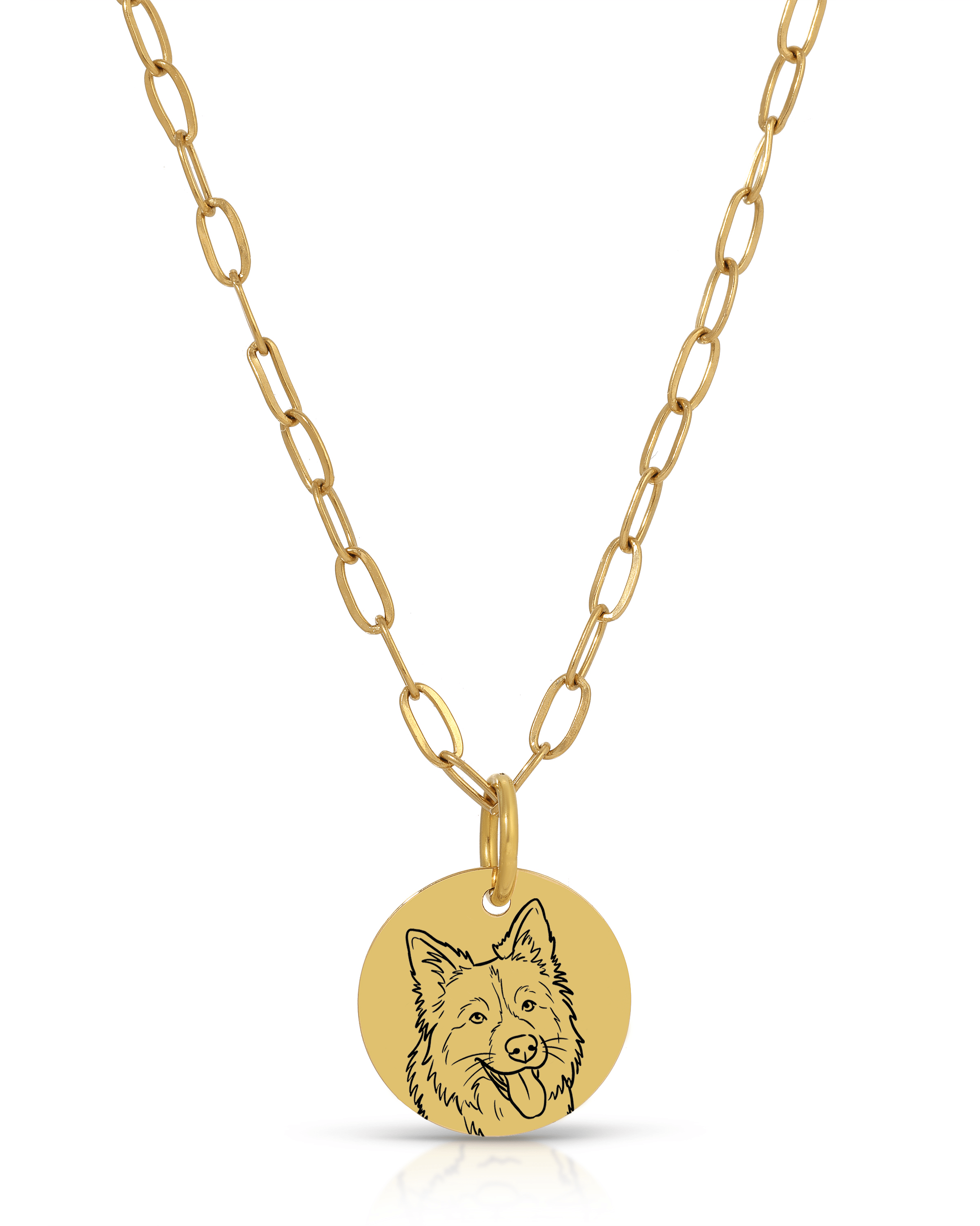 Pet Charm Necklace - Large Medallion