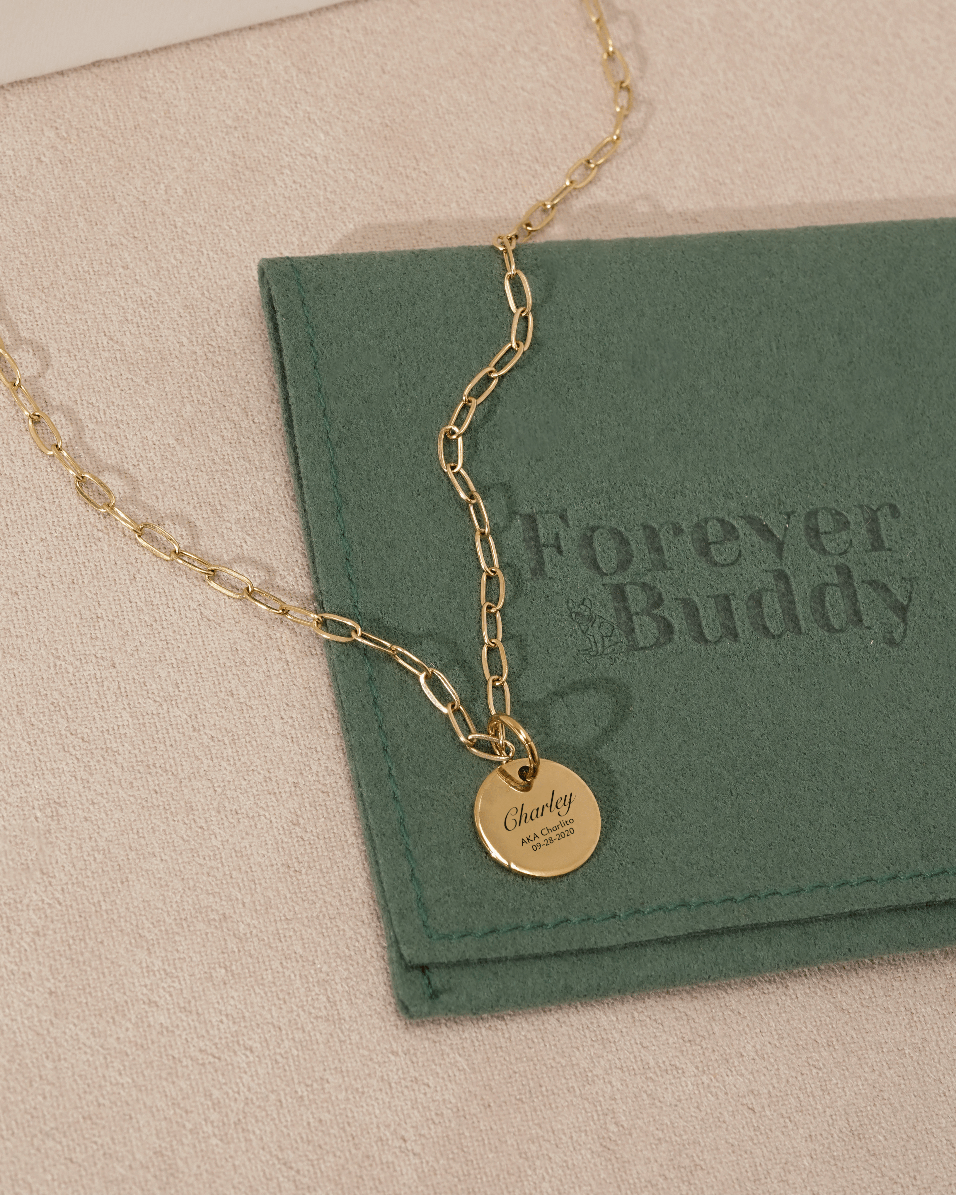 Pet Charm Necklace - Small Medallion