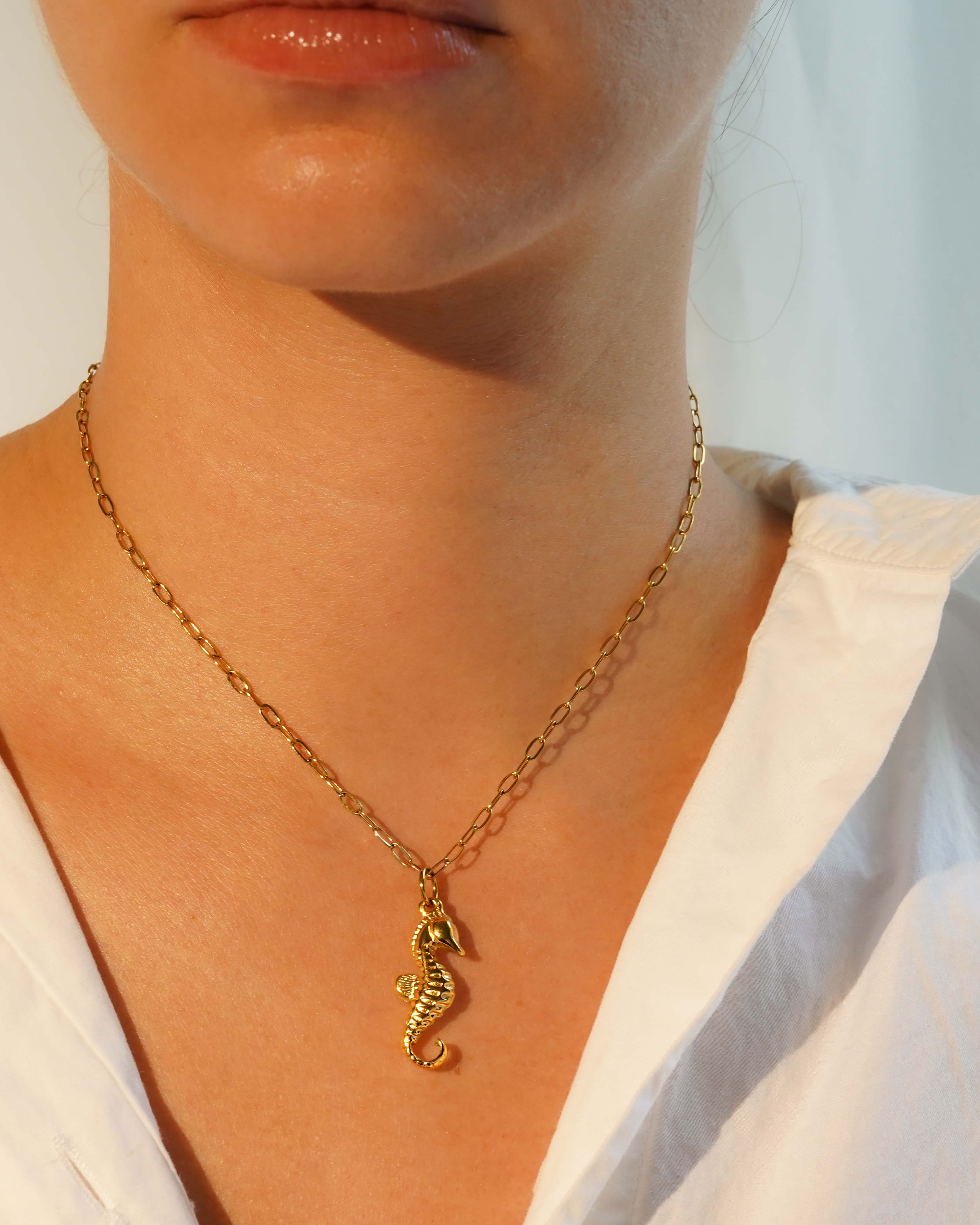 Sea Horse Charm