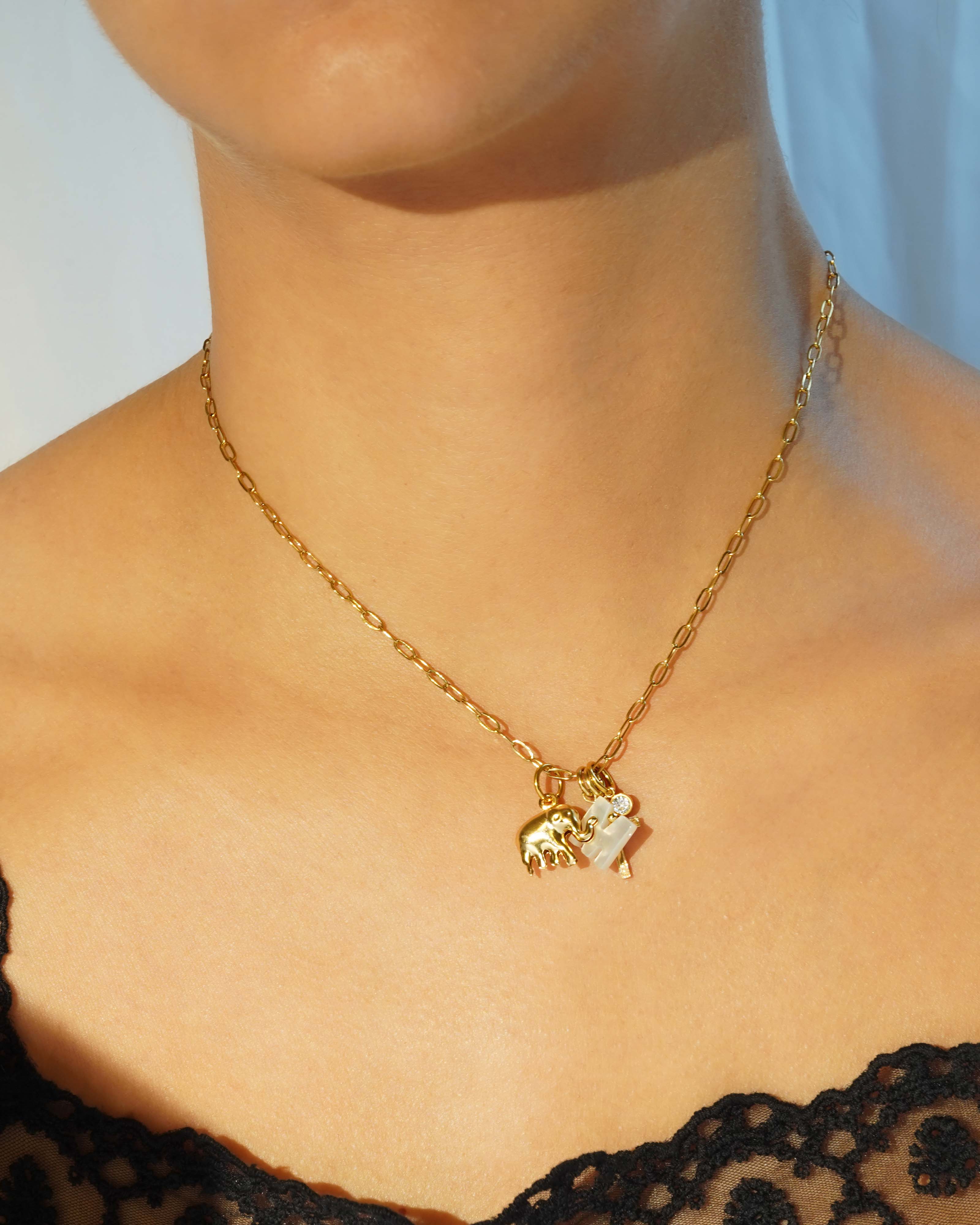 Build Your Own Charm Necklace