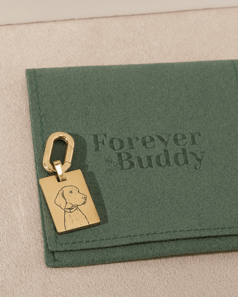 Pet Bag Charm / Keychain - Large Rectangle