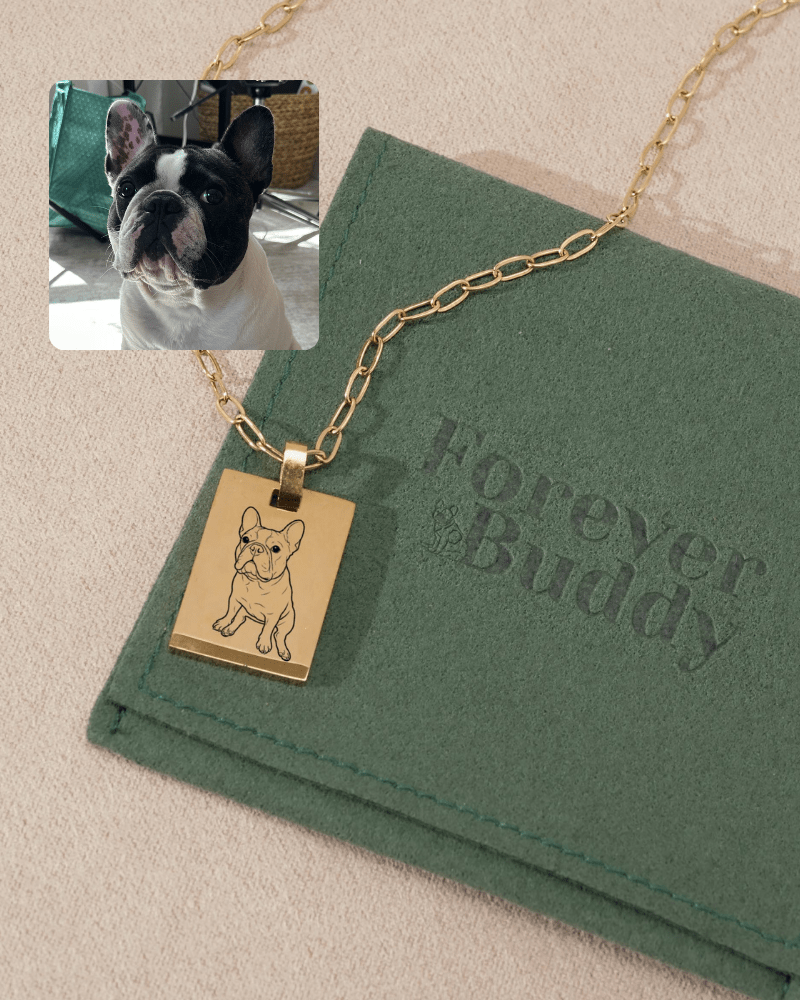 Pet Charm Necklace - Large Rectangle
