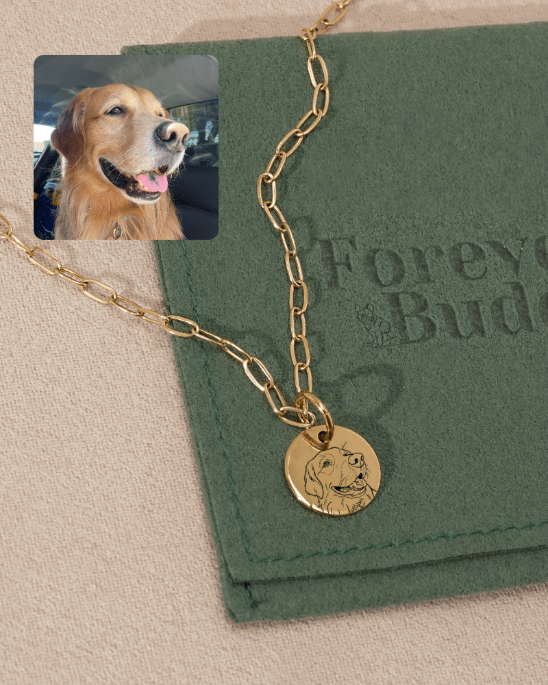 Pet Charm Necklace - Small Medallion