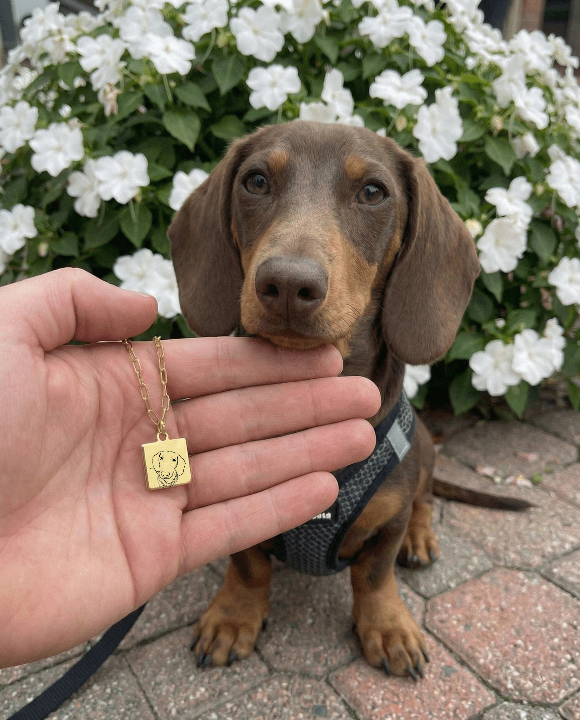 Pet Charm Necklace - Small Square