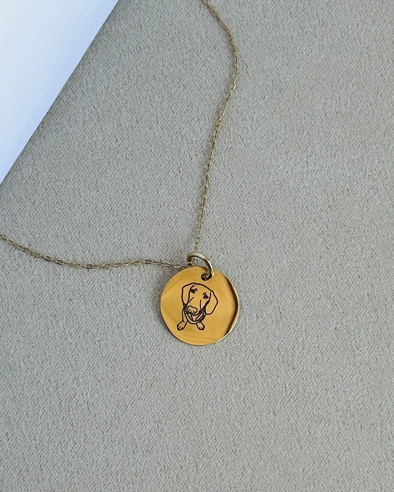 FB Pet Charm Necklace - Large Medallion